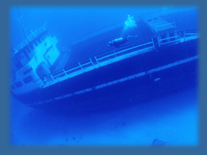 Complete Your Advanced Scuba Certification Course with South Florida Diving Headquarters 