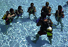 Complete Your Scuba Certification Course with South Florida Diving Headquarters