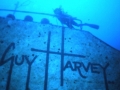 guyharvey1