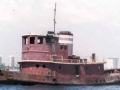 mcallister1