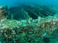 quallman-barge2