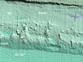 td1