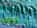 wpt-1