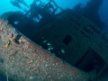 Castor-2