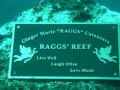 Rags-2