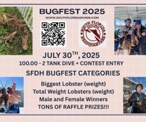 Bugfest 7-30-2025