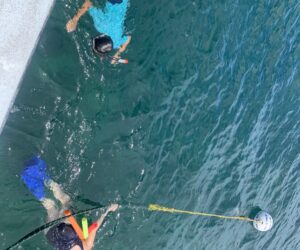 07-07-20 2 55 pm