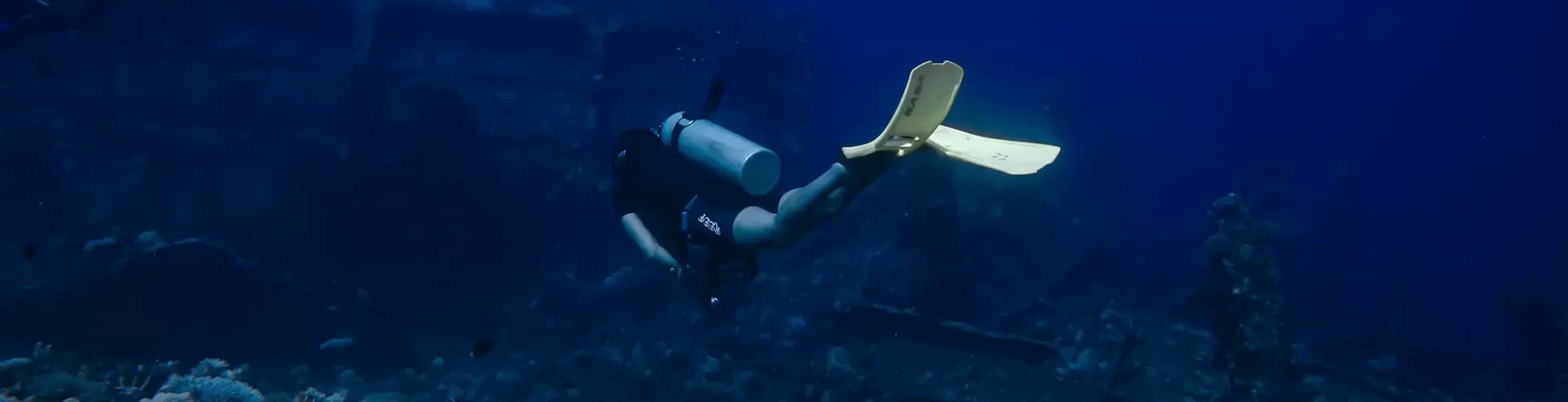 Frequent Diver Card