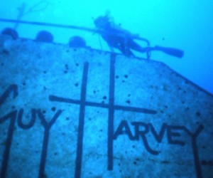Guy Harvey
